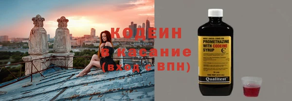 индика Баксан