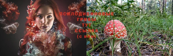 COCAINE Белокуриха