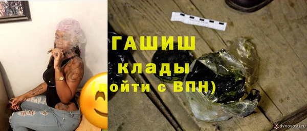 индика Баксан